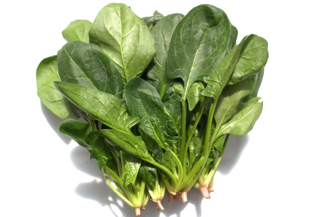 ホウレンソウ